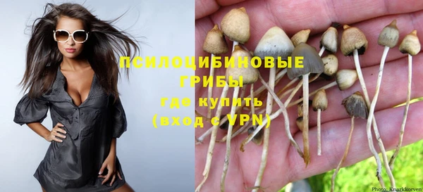 spice Алексеевка