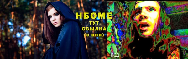 хмурый Арсеньев