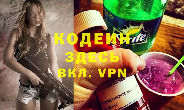 хмурый Арсеньев