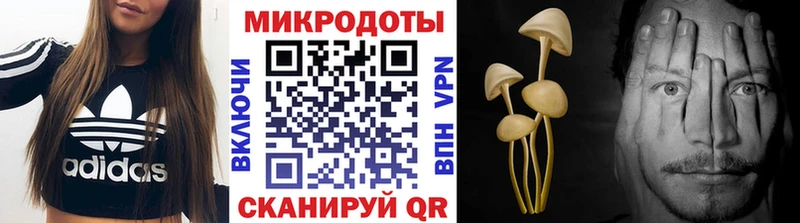 Галлюциногенные грибы Magic Shrooms  Купить  Демидов 