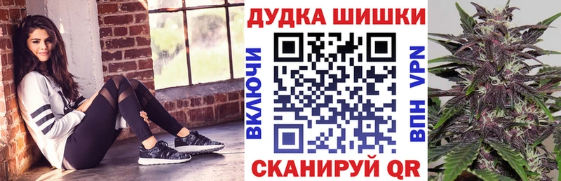 Марихуана сатива  Купить закладки  Демидов 